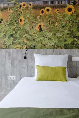 Imagen de la habitación del Hotel ibis Styles Almere. Foto 10