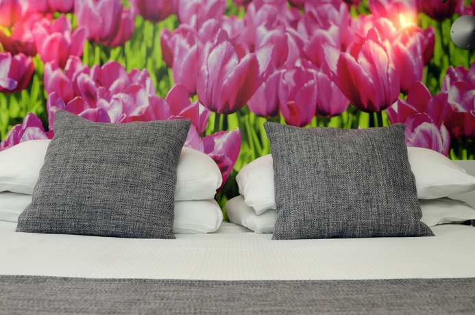 Imagen de la habitación del Hotel ibis Styles Amsterdam City. Foto 7