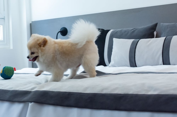 Imagen general del Hotel ibis Styles Buenos Aires Florida. Foto 2