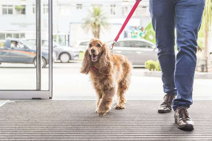 Imagen general del Hotel ibis budget Curitiba Centro. Foto 3