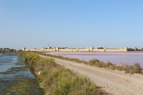 Imagen general del Hotel ibis budget Lunel Porte de Camargue. Foto 5