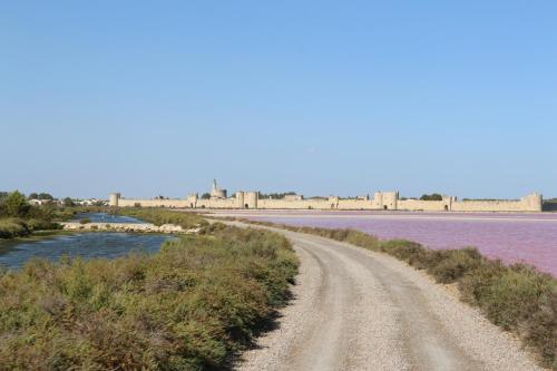 Imagen de la habitación del Hotel ibis budget Lunel Porte de Camargue. Foto 9