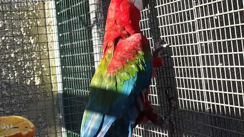 Imagen de la habitación del Hotel ibis budget Montauban Les Chaumes. Foto 19