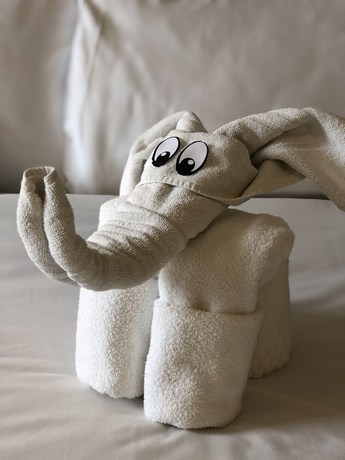 Imagen de la habitación del Hotel ibis budget Rio de Janeiro Nova America. Foto 12