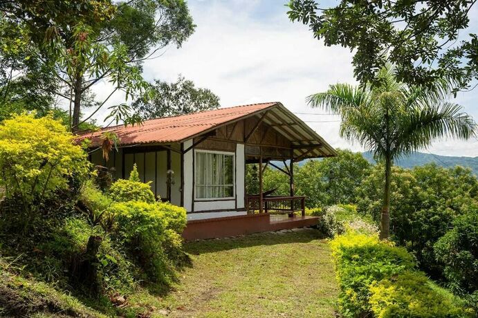 Imagen de la habitación del Hotel ikara. Foto 19