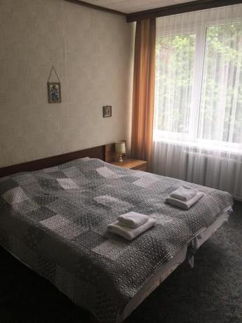 Imagen general del Hotel Žilvinas. Foto 2