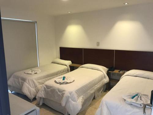 Imagen de la habitación del Hotel internacional, Termas de R&iacute;o Hondo. Foto 18