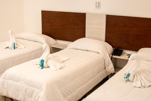 Imagen de la habitación del Hotel internacional, Termas de R&iacute;o Hondo. Foto 20