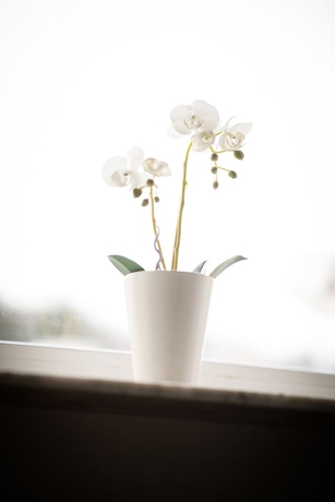 Imagen de la habitación del Hotel l Alfred Nobel. Foto 14