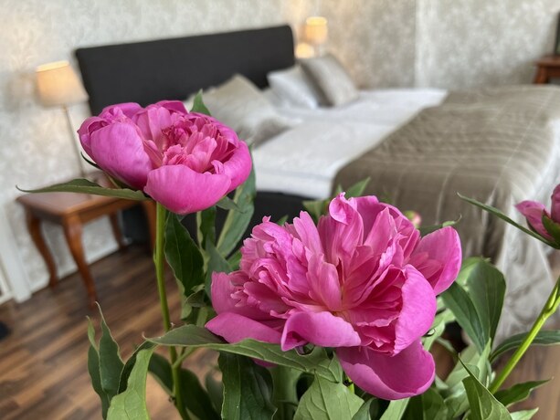 Imagen general del Hotel l Bele. Foto 11