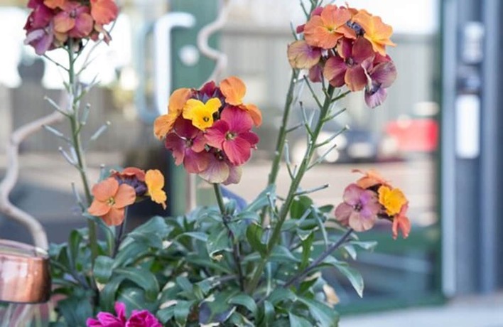 Imagen general del Hotel l Eken. Foto 10