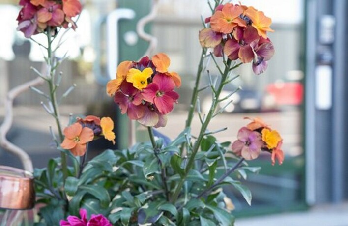 Imagen de los interiores del Hotel l Eken. Foto 29