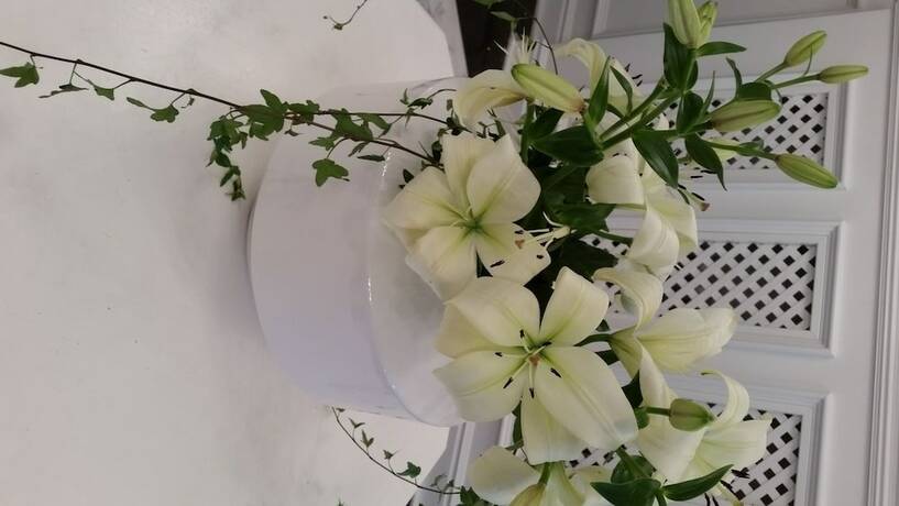 Imagen de los interiores del Hotel l Esplanad. Foto 36