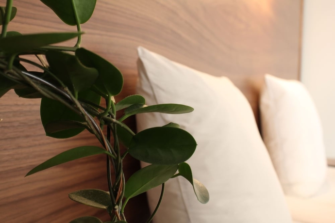 Imagen de la habitación del Hotel l Hjalmar. Foto 10