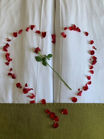 Imagen de la habitación del Hotel l Högland. Foto 26