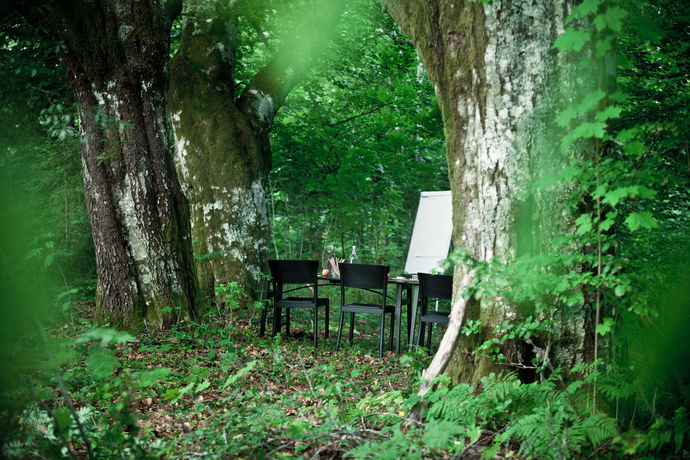 Imagen de la habitación del Hotel l Lassalyckan. Foto 6