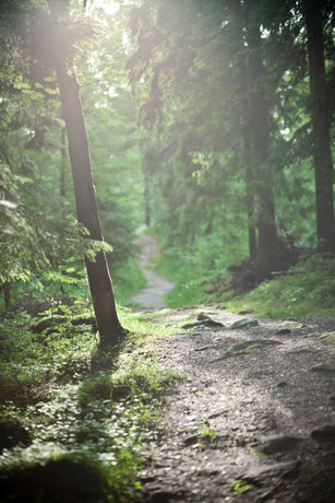 Imagen de la habitación del Hotel l Lassalyckan. Foto 7