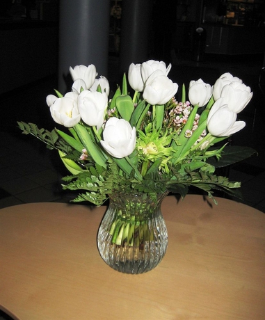 Imagen de los interiores del Hotel l M&ouml;rby Ab, Patienthotell. Foto 6