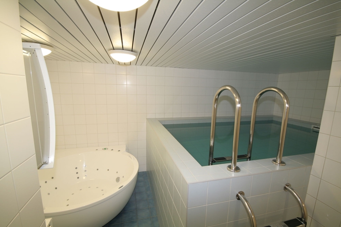 Imagen de la piscina del Hotel l Tammsaare. Foto 11