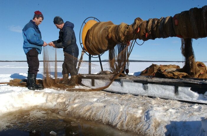 Imagen general del Hotel l Valhall. Foto 9