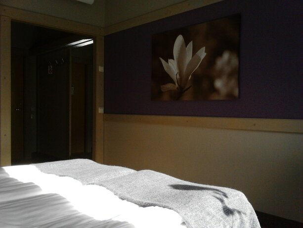 Imagen de la habitación del Hotel l Valhall. Foto 20