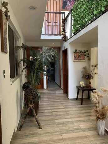 Imagen general del Hotel la Monta&ntilde;a, Oaxaca de Ju&aacute;rez. Foto 12