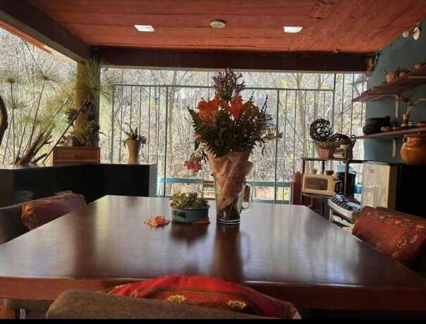 Imagen general del Hotel la Monta&ntilde;a, Oaxaca de Ju&aacute;rez. Foto 14