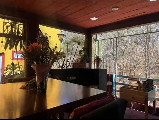 Imagen general del Hotel la Monta&ntilde;a, Oaxaca de Ju&aacute;rez. Foto 17