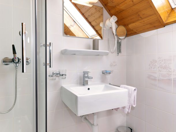 Imagen de la habitación del Hotel la Suite, Payerne. Foto 15