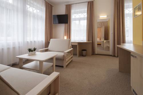 Imagen de la habitación del Hotel lázeňský hotel terra*** superior. Foto 5