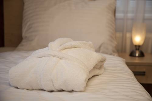 Imagen de la habitación del Hotel lázeňský hotel terra*** superior. Foto 10