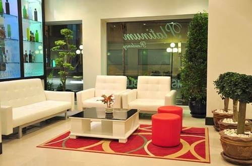 Imagen general del Hotel le Platinum Residency. Foto 6