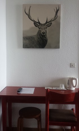 Imagen de la habitación del Hotel le YAKA. Foto 11