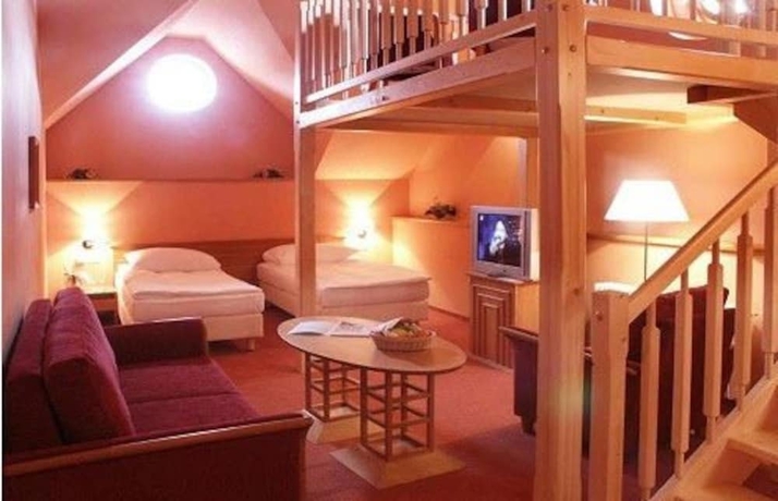 Imagen de la habitación del Hotel lh dvořák tábor congress & wellness. Foto 6
