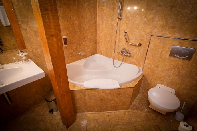 Imagen de la habitación del Hotel lh dvořák tábor congress & wellness. Foto 13