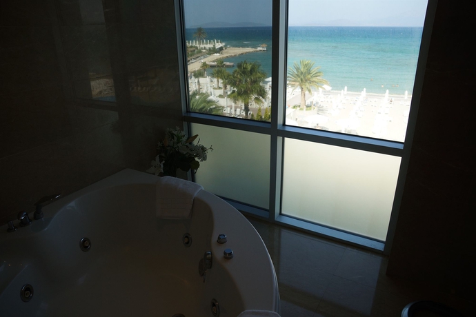 Imagen de la habitación del Hotel İlica Spa and Wellness Thermal Resort. Foto 6