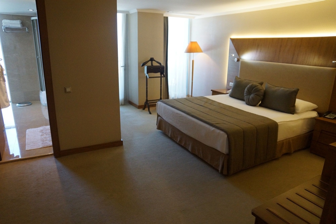 Imagen de la habitación del Hotel İlica Spa and Wellness Thermal Resort. Foto 7