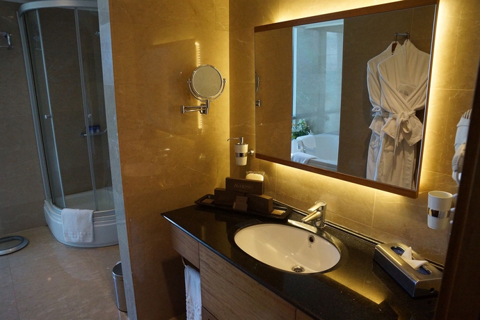 Imagen de la habitación del Hotel İlica Spa and Wellness Thermal Resort. Foto 9