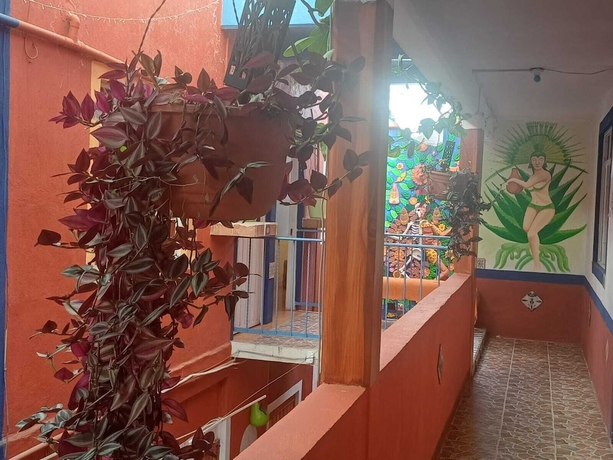 Imagen de los interiores del Hotel los Faroles, Villa del Carb&oacute;n. Foto 14