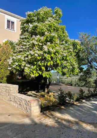 Imagen general del Hotel los Tilos, Beteta. Foto 14