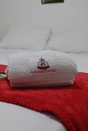 Imagen de la habitación del Hotel los magueyes. Foto 2