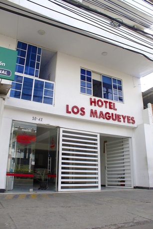 Imagen general del Hotel los magueyes. Foto 1