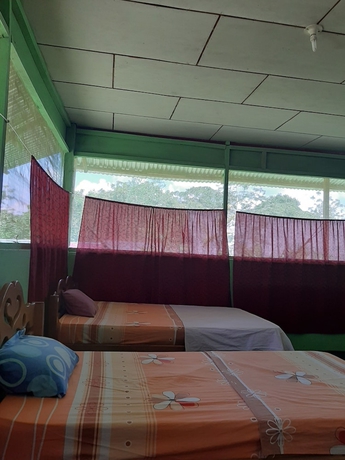 Imagen de la habitación del Hotel lupuna jungle tours and expeditions. Foto 12