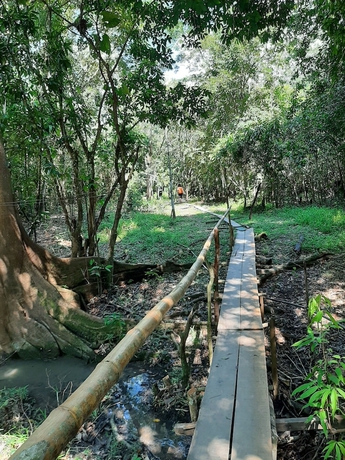 Imagen de los interiores del Hotel lupuna jungle tours and expeditions. Foto 16