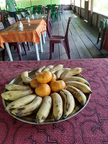 Imagen del bar/restaurante del Hotel lupuna jungle tours and expeditions. Foto 2