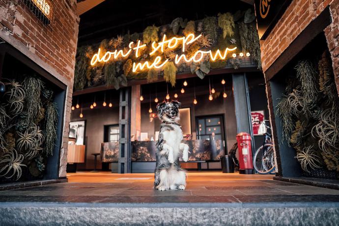 Imagen de los interiores del Hotel me and all Hanover. Foto 18