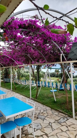 Imagen general del Hotel mermaid. Foto 2