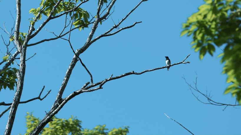 Imagen general del Hotel nasu mukunone AUBERGE. Foto 30