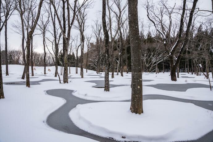 Imagen general del Hotel nasu mukunone AUBERGE. Foto 36