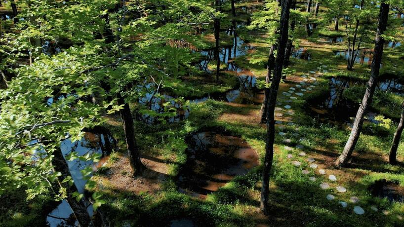 Imagen general del Hotel nasu mukunone AUBERGE. Foto 38